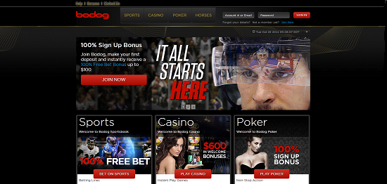 Ставки в букмекерской конторе Bodog